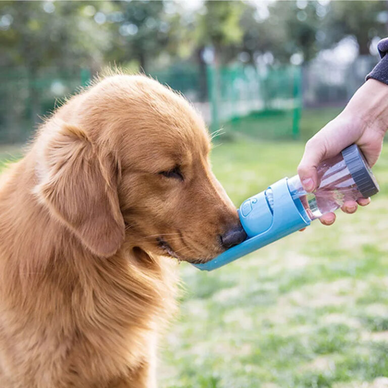 portable-pet-water-bottle-and-food-feeder-xx1